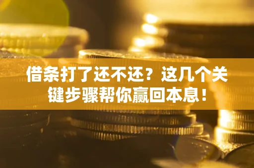 武汉借条打了还不还？这几个关键步骤帮你赢回本息！