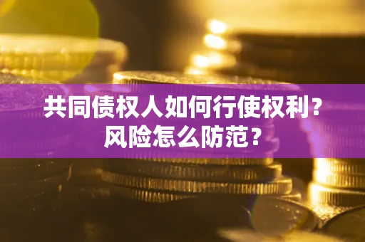 武汉共同债权人如何行使权利？风险怎么防范？