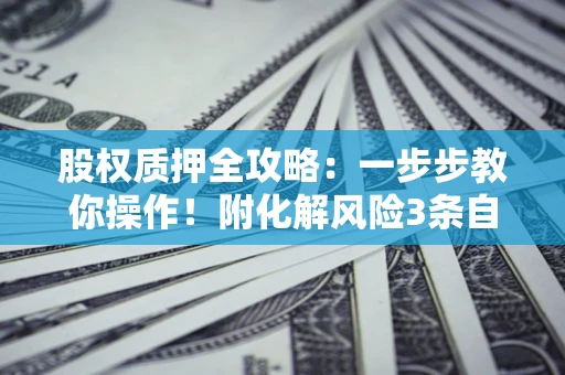 武汉股权质押全攻略：一步步教你操作！附化解风险3条自救法则
