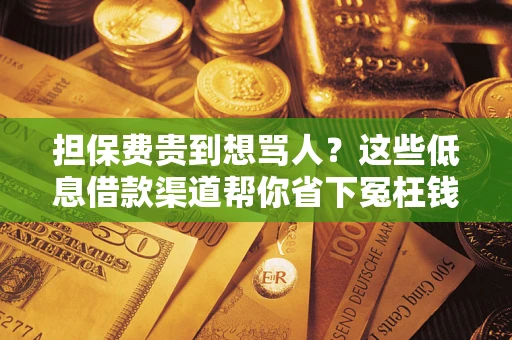 武汉担保费贵到想骂人？这些低息借款渠道帮你省下冤枉钱
