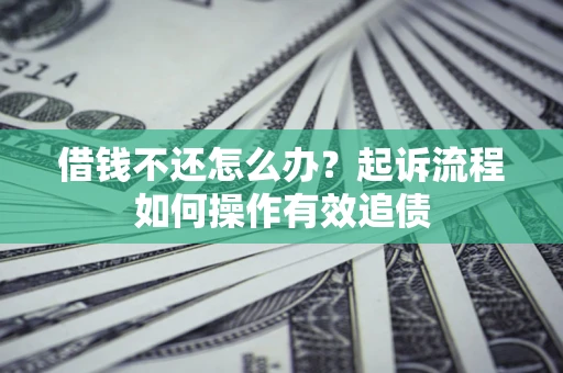 武汉借钱不还怎么办？起诉流程如何操作有效追债