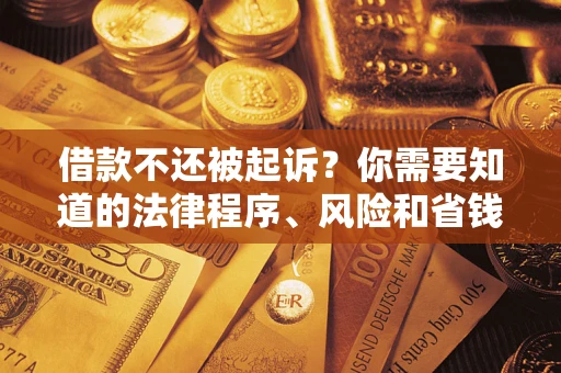 武汉借款不还被起诉？你需要知道的法律程序、风险和省钱技巧